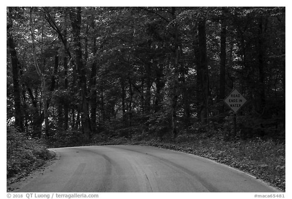 Houchin Ferry Road. Mammoth Cave National Park (black and white)
