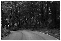 Houchin Ferry Road. Mammoth Cave National Park ( black and white)