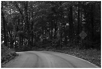 Houchin Ferry Road. Mammoth Cave National Park ( black and white)