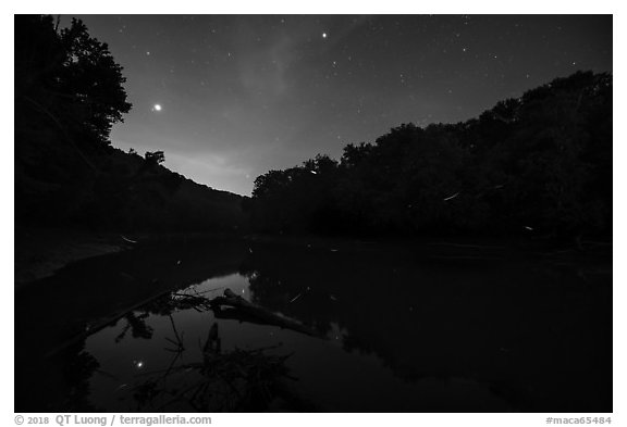 Green River, stars and fireflies at night, Houchin Ferry. Mammoth Cave National Park (black and white)