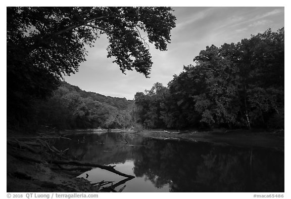 Green River in the morning, Houchin Ferry. Mammoth Cave National Park (black and white)