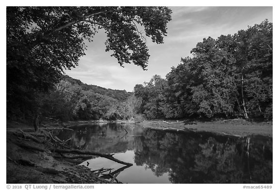 Visitor looking, Green River. Mammoth Cave National Park (black and white)