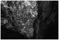 Looking up cave historic entrance. Mammoth Cave National Park ( black and white)