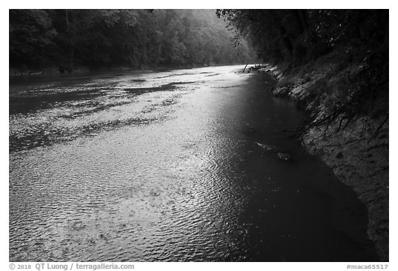 Rain, Green River. Mammoth Cave National Park (black and white)