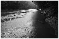 Rain, Green River. Mammoth Cave National Park ( black and white)