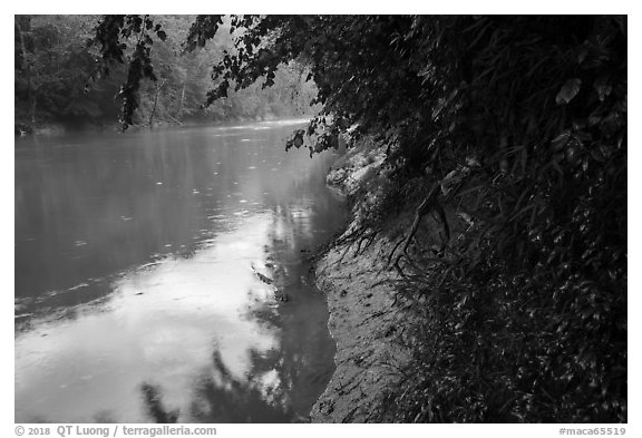 Green River in the rain at Dennison Ferry. Mammoth Cave National Park (black and white)