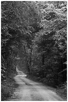 Unpaved Dennison Ferry Road. Mammoth Cave National Park ( black and white)