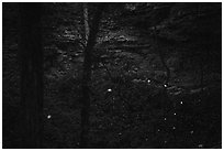 Fireflies and sinkhole. Mammoth Cave National Park ( black and white)