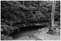 River Styx resurgence in summer. Mammoth Cave National Park ( black and white)