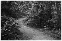 River Styx Trail in summer. Mammoth Cave National Park ( black and white)