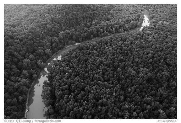 Aerial view of Green River curve. Mammoth Cave National Park (black and white)