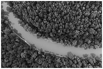 Aerial view of Green River and forest looking down. Mammoth Cave National Park ( black and white)