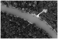 Aerial view of Green River and Houchin Ferry looking down. Mammoth Cave National Park ( black and white)