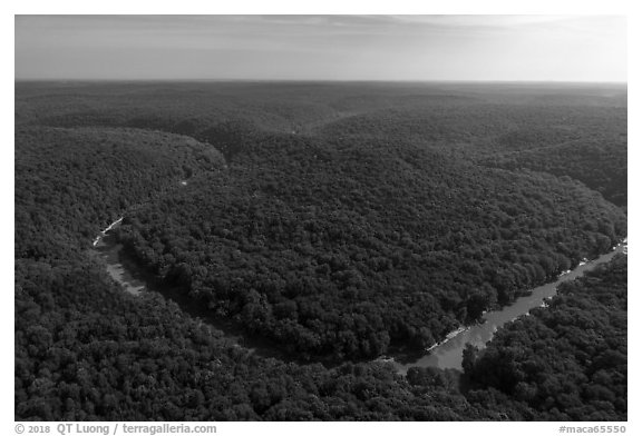 Aerial view of Turnhole Bend of the Green River. Mammoth Cave National Park (black and white)