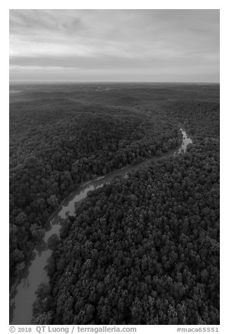 Aerial view of Green River at sunset. Mammoth Cave National Park (black and white)