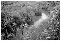 Green River seen from bluff in springtime. Mammoth Cave National Park ( black and white)
