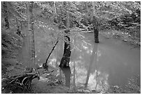 Flooded trees in Echo River Spring. Mammoth Cave National Park ( black and white)