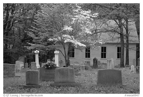 Mammoth Cave church and cemetery. Mammoth Cave National Park (black and white)