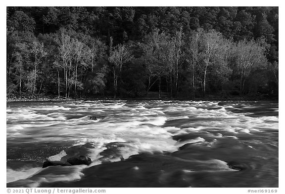 Rapids on New River. New River Gorge National Park and Preserve (black and white)