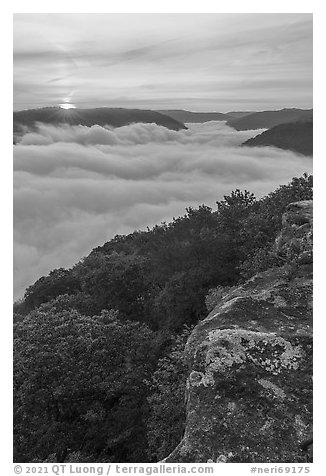 Sun rising over sea of clouds from Grandview. New River Gorge National Park and Preserve (black and white)