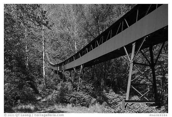 Conveyor designed by Henry Ford, Nuttallburg. New River Gorge National Park and Preserve (black and white)