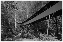 Conveyor designed by Henry Ford, Nuttallburg. New River Gorge National Park and Preserve ( black and white)