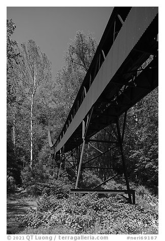 Coal Conveyor, Nuttallburg. New River Gorge National Park and Preserve (black and white)