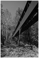 Coal Conveyor, Nuttallburg. New River Gorge National Park and Preserve ( black and white)