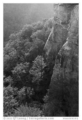 Endless Walls Cliffs. New River Gorge National Park and Preserve (black and white)