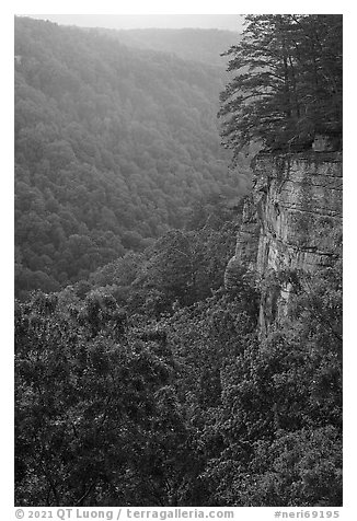Cliffs and gorge from Diamond Point. New River Gorge National Park and Preserve (black and white)