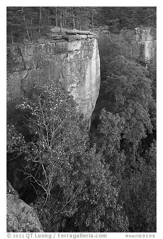 Cliffs from Diamond Point. New River Gorge National Park and Preserve, West Virginia, USA.