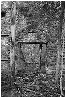 Powerhouse reclaimed by vegetation, Kaymoor Mine Site. New River Gorge National Park and Preserve ( black and white)