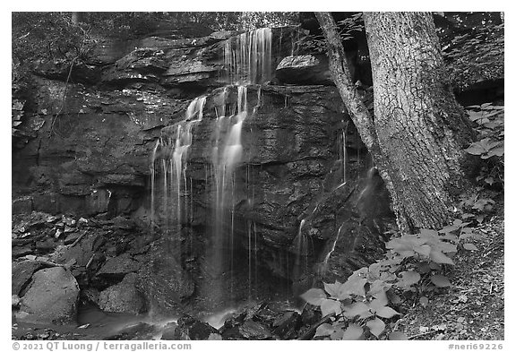Kates Falls. New River Gorge National Park and Preserve (black and white)