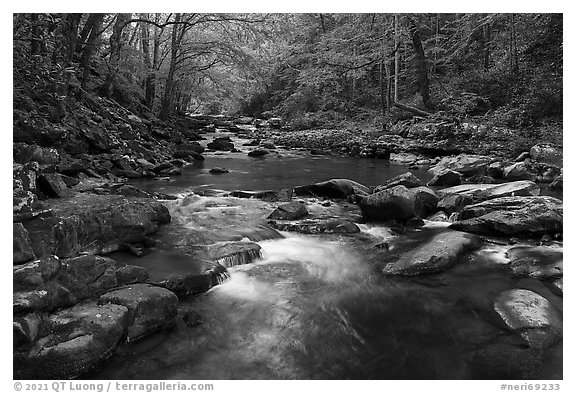 Glade Creek stream. New River Gorge National Park and Preserve (black and white)