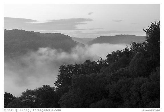Low fog in river gorge from Long Point at dawn. New River Gorge National Park and Preserve, West Virginia, USA.