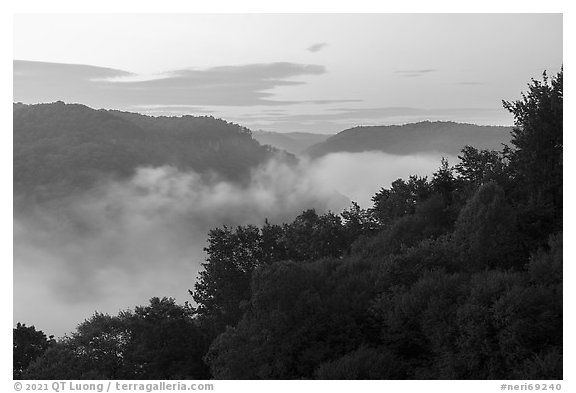 Low fog in river gorge from Long Point at dawn. New River Gorge National Park and Preserve (black and white)