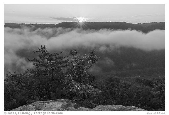Sunrise with low clouds from Long Point. New River Gorge National Park and Preserve, West Virginia, USA.