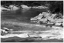 Raft in New River Gorge rapids. New River Gorge National Park and Preserve ( black and white)