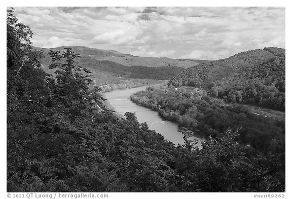 View from Brooks Overlook. New River Gorge National Park and Preserve (black and white)