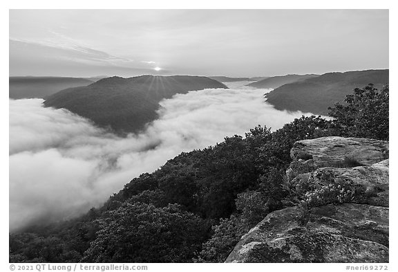 Sunrise over fog-filled gorge from Grandview Overlook. New River Gorge National Park and Preserve, West Virginia, USA.