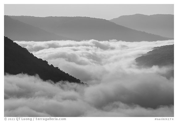 Fog-filled gorge and sunrise. New River Gorge National Park and Preserve (black and white)