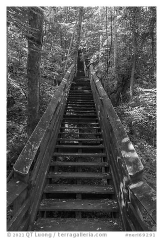 Staircase boardwalk, Kaymoor Mine Site. New River Gorge National Park and Preserve (black and white)