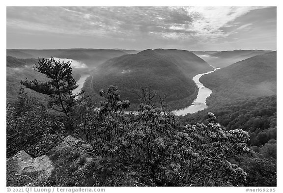 Horseshoe bend of gorge with flowers and mist from Grandview North Overlook. New River Gorge National Park and Preserve, West Virginia, USA.