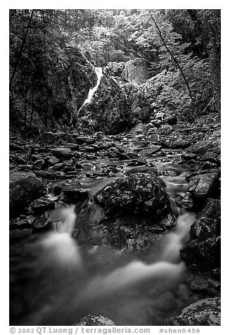 Falls of the Rose river. Shenandoah National Park (black and white)