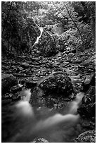 Falls of the Rose river. Shenandoah National Park, Virginia, USA. (black and white)