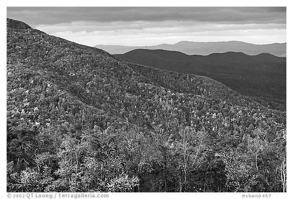 Hillsides in autumn. Shenandoah National Park (black and white)