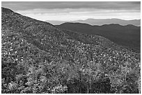 Hillsides in autumn. Shenandoah National Park ( black and white)