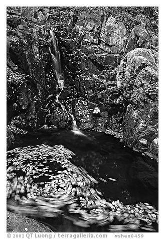 Spining leaves and cascade. Shenandoah National Park, Virginia, USA.