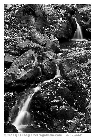 Cascades of the Hogcamp Branch of the Rose River with fallen leaves. Shenandoah National Park, Virginia, USA.