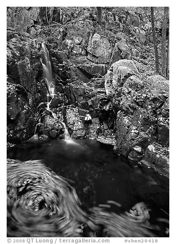 Cascade and circle of fallen leaves in motion. Shenandoah National Park (black and white)